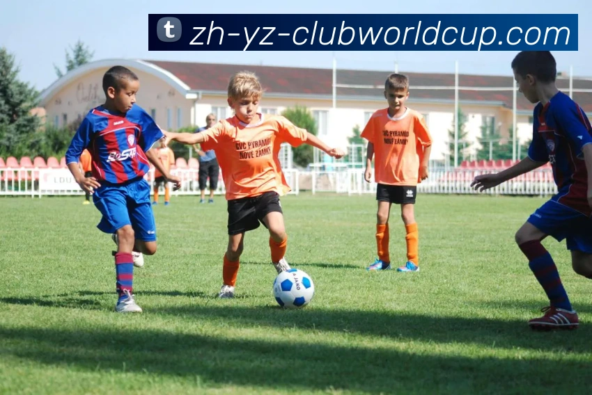 多媒体互动体验